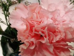 -望湘园·湖南菜(宏伊店)