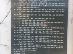 -同济大学附属上海市肺科医院·停车场