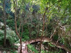 -大岭沟猕猴桃谷风景区