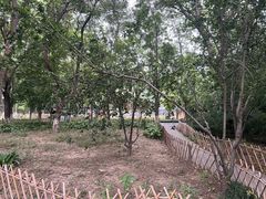 -丰台科技园生态主题公园