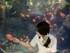 -南昌海洋公园