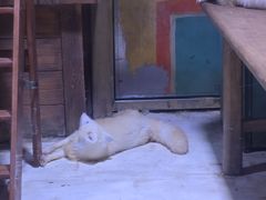 -上海海昌海洋公园-冰山北极馆