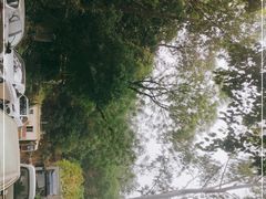 -火炉山森林公园