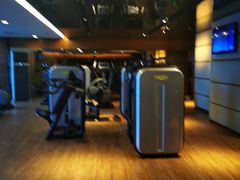 -上海龙之梦万丽酒店