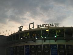 -南京奥林匹克体育中心-体育馆