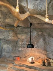 -Zoolung Zoolung动物主题公园(海信广场店)