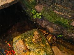 -竹泉村旅游度假区