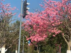 -宝能国际体育演艺中心