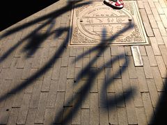 -Catail前苑(前门大街店)