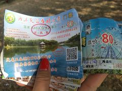 -广东茂名森林公园