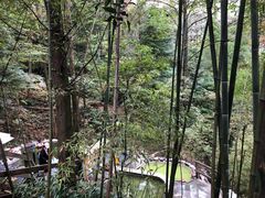 -花水湾第一村温泉大酒店