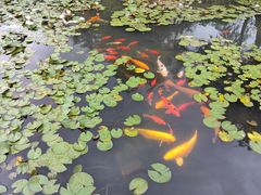 -白马涧龙池景区