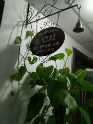 -格调形象