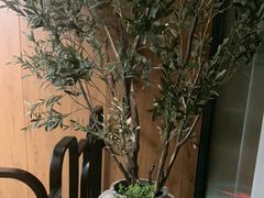 -新紫霞养生·影院足道·SPA(金山区店)