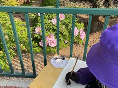 -曹州百花园