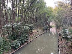 -同里国家湿地公园
