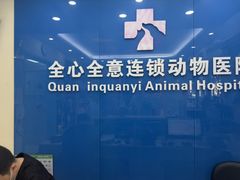 -全心全意连锁动物医院·微创中心·内科急重症·心脏专科(丰管路店)