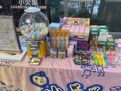 -小荧星艺校(浦东中环分校)