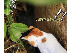 -广州珠江公园