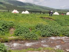 -新疆那拉提国家旅游度假区