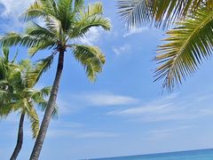 -日落吧·海景咖啡厅·餐酒吧·鸡尾酒·下午茶·乐队表演·浪漫夕阳·三亚文华东方酒店