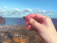 -椰风寨