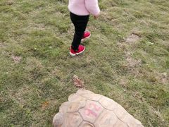 -黄龙溪欢乐田园