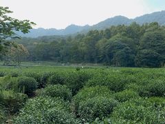 -法云安缦酒店