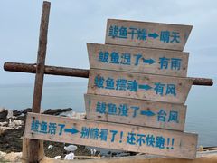 -养马岛旅游度假区