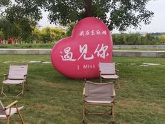 -天津东丽湖风景区