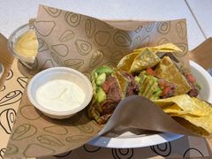 -油梨树 AVOCADO TREE(亮马桥店)