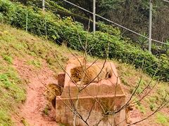 -乐和乐都主题乐园