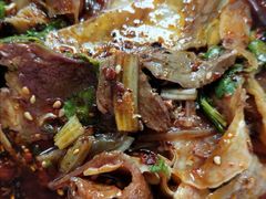 -黄伞肺片(双楠分店)