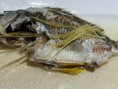-花城苑广府菜(侨鑫店)