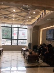 -碧莲盛·不剃发植发