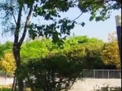 -羊楼洞