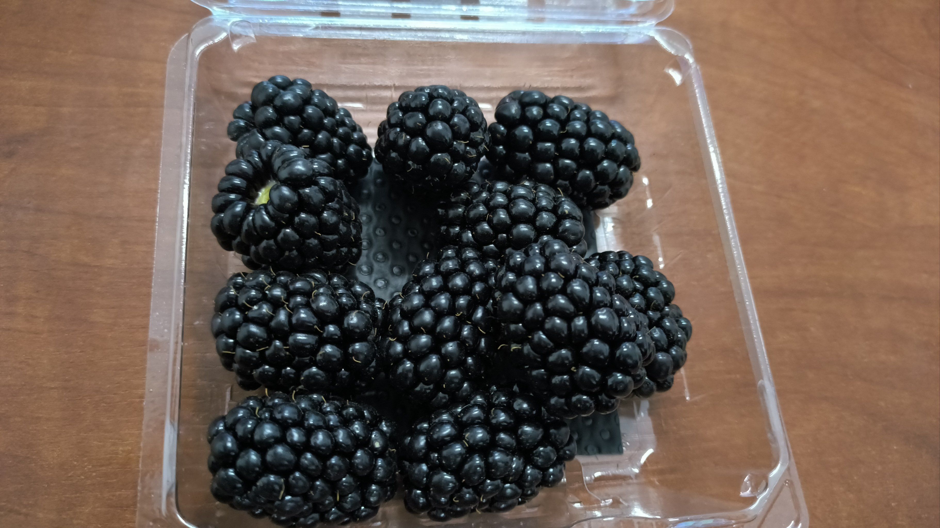 长得像桑葚的黑莓