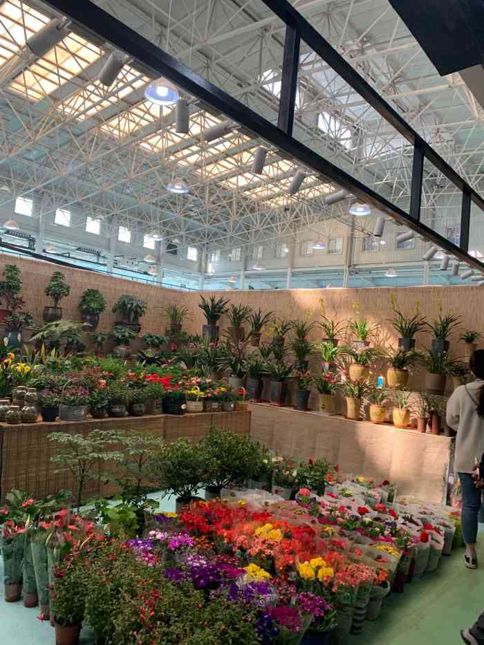 蟹岛国际花卉-"蟹岛里新开业的花卉市场,里面很宽敞,环境.