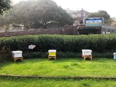 -自在弥林花园餐厅(云栖店)