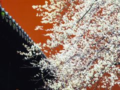-钱王祠