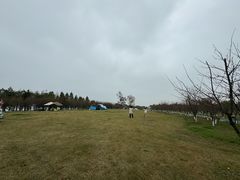 -阳澄湖半岛旅游度假区