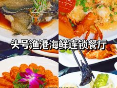 -椰梦长廊