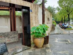 -几荷·恰似故人来(秀水广场店)