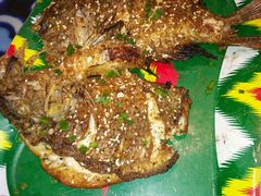 -撒拉花儿·新疆菜·清真(太阳宫店)