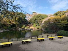 -东京国立博物馆