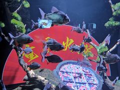 -重庆欢乐海底世界
