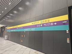 -望京西(地铁站)