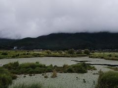 -腾冲北海湿地