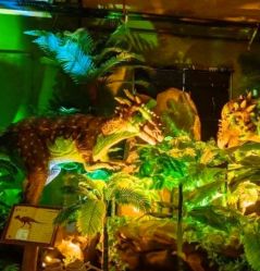 -恐龙探索乐园(磁器口店)