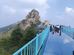 -大芦花风景区